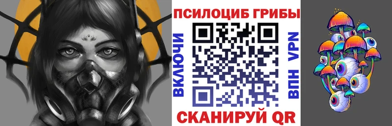 Купить  Городовиковск  Псилоцибиновые грибы ЛСД 