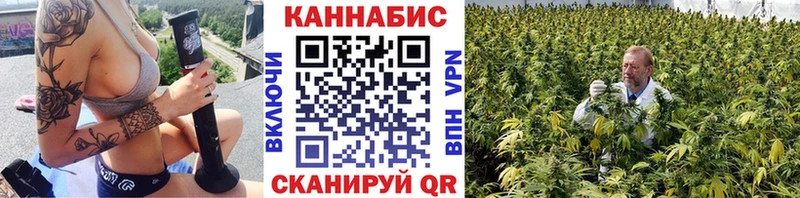 Купить  Городовиковск  Бошки Шишки планчик 